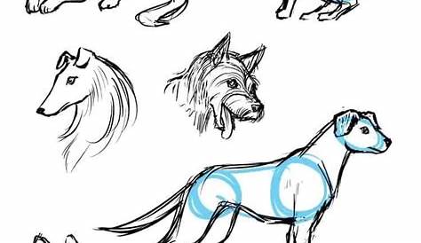 02_25_olen | Easy animal drawings, Cartoon drawings of animals, Animal