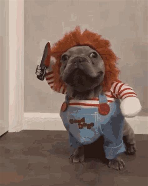 Trick Or Treat Halloween GIF by Chippy the Dog Find