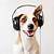 animals listening to music clipart