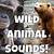 animals voice video play