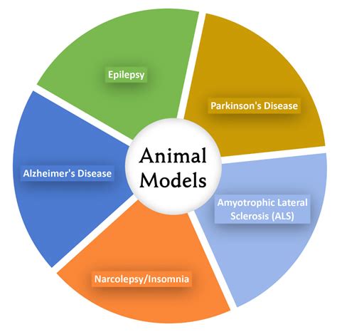 Animals As Model Systems