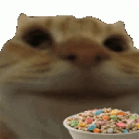 gif cereals Tumblr