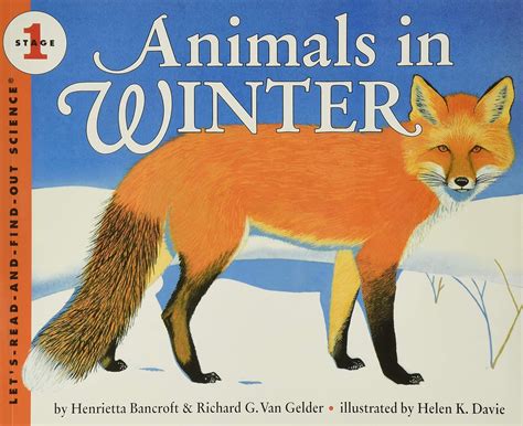 Animals In Winter Book
