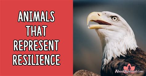 animals that represent resilience