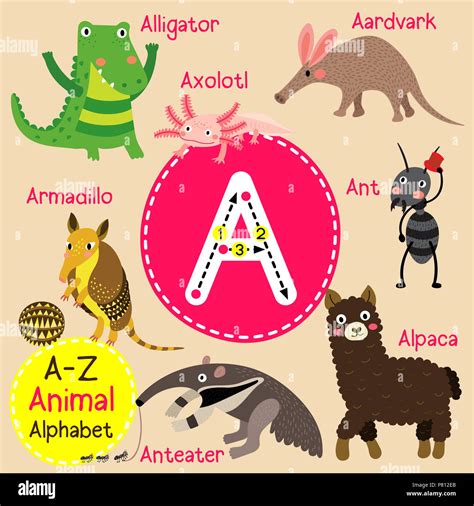 animals that start with a for kids