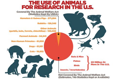 animals to research on