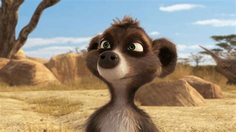 Animals Voice Wallpaper