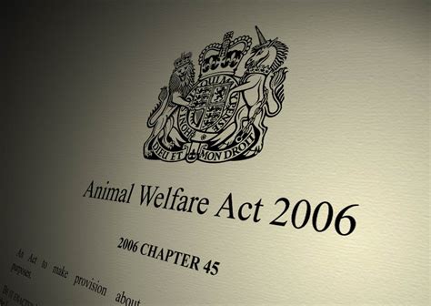 animals welfare act 2006