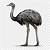 animated emus gif