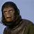 animated gif planet of the apes