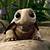 animated gif snapping turtle
