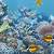 animated gif undersea