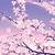 animated sakura tree gif