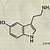 animated serotonin gif