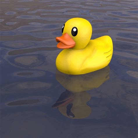 Duck Swim GIFs Find & Share on GIPHY