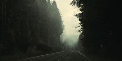 Pixilart Background Forest Animation (ABB) by MrStarchy