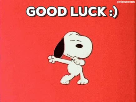Midterms Good Luck Sticker by BYU MMBio for iOS & Android