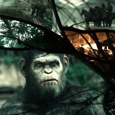 Apes Movie GIF by War for the of