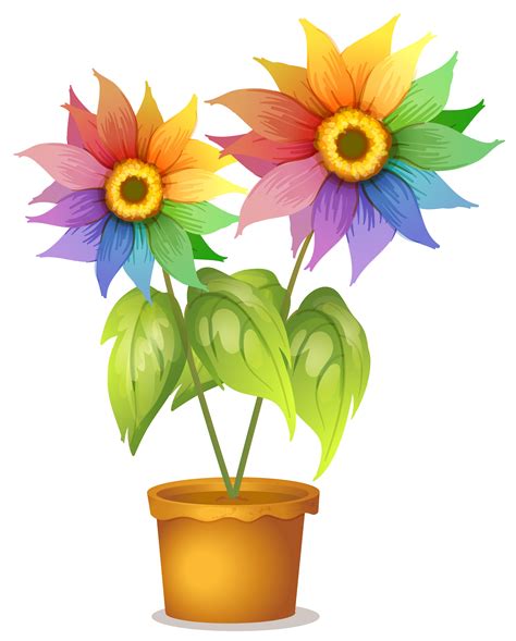 Animated Rainbow Flower