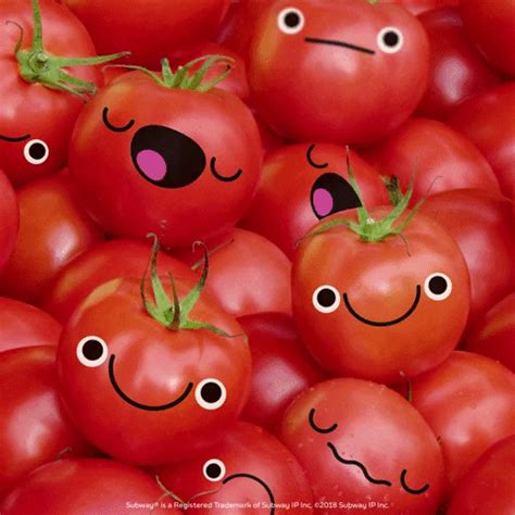 Tomato by Lelka on Dribbble