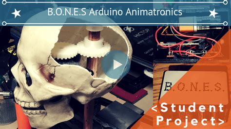 Animation software with bone tool QuyaSoft