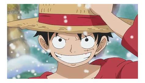 Anime Character Yellow Hat One Piece