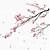 anime cherry blossom branch png