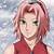 anime female characters sakura