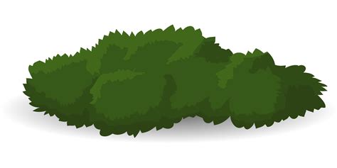 Tree Png ClipArt Best