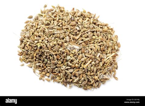 Anise Seed Que Es