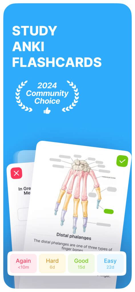 Anki Flashcards Download