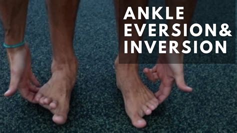 Ankle Eversion And Inversion Exercises