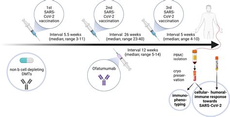 ann 2023 ofatumumab multiple sclerosis