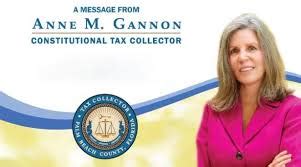 ann gannon palm beach county tax collector