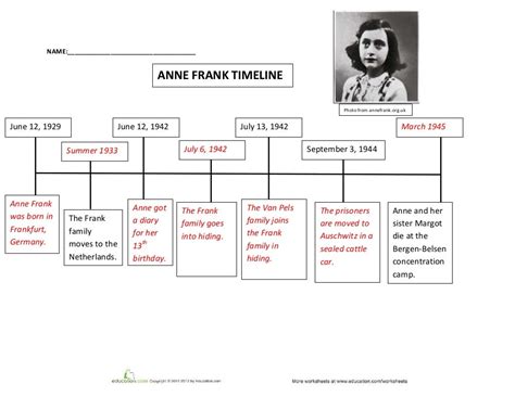anne frank timeline birth to education