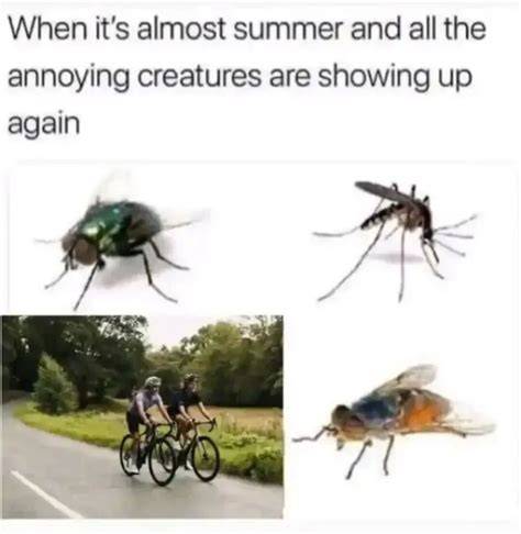 When it's almost summer and all the annoying creatures are showing up