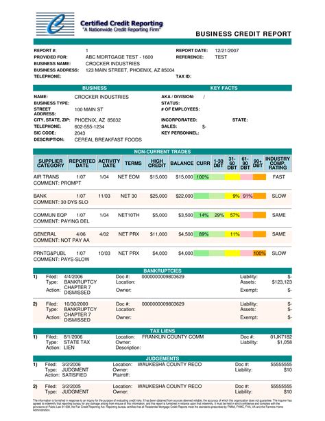 annual credit bureau report score