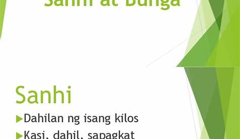 Lesson Plan Final Sanhi At Bunga 2 Republic Of The Philippines B Panuto