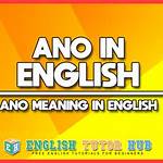 ano meaning in english