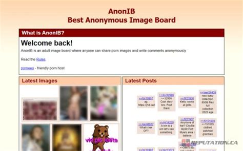 anonib forums