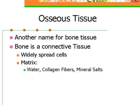 another name for bone is osseous tissue