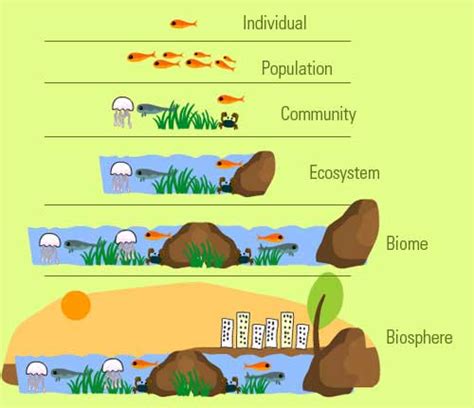 another term for ecosystem services