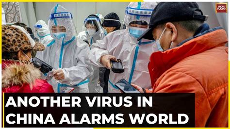 another virus in china news