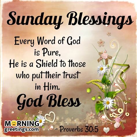 another word for blessed sunday
