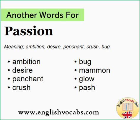 another word for passion for work