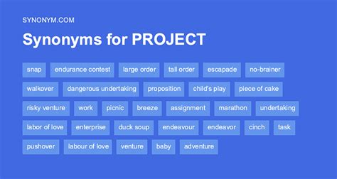 another word for project noun