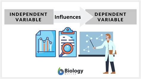 another word for variable in science