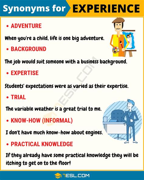 Another Word For Viewing Experience