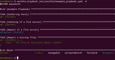 ansible check sudo