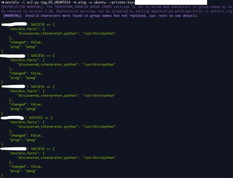 ansible dynamic inventory example python